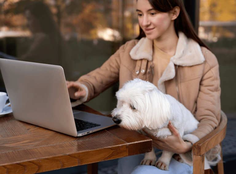 What to do With a Puppy While at Work