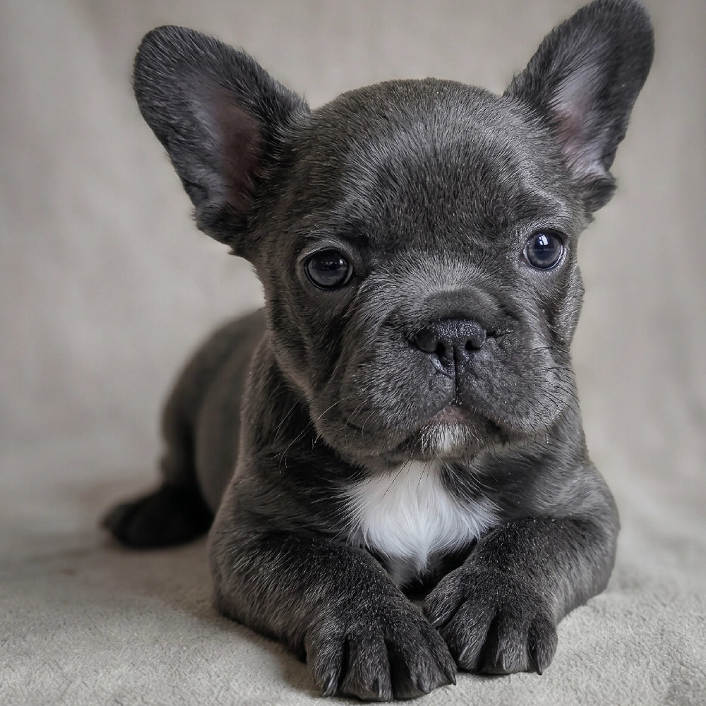 Ellie