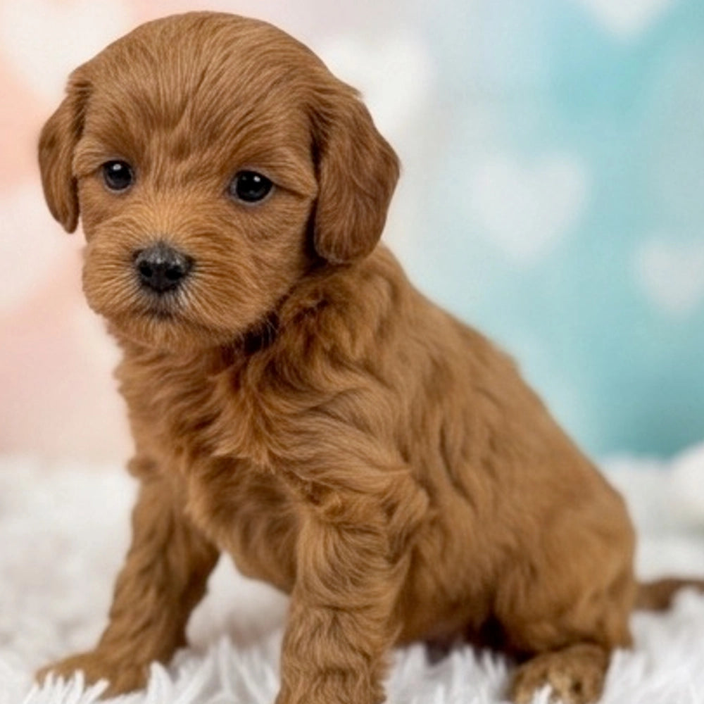Copper