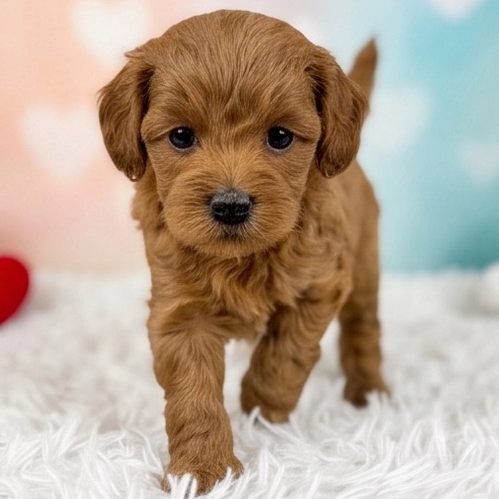 Copper