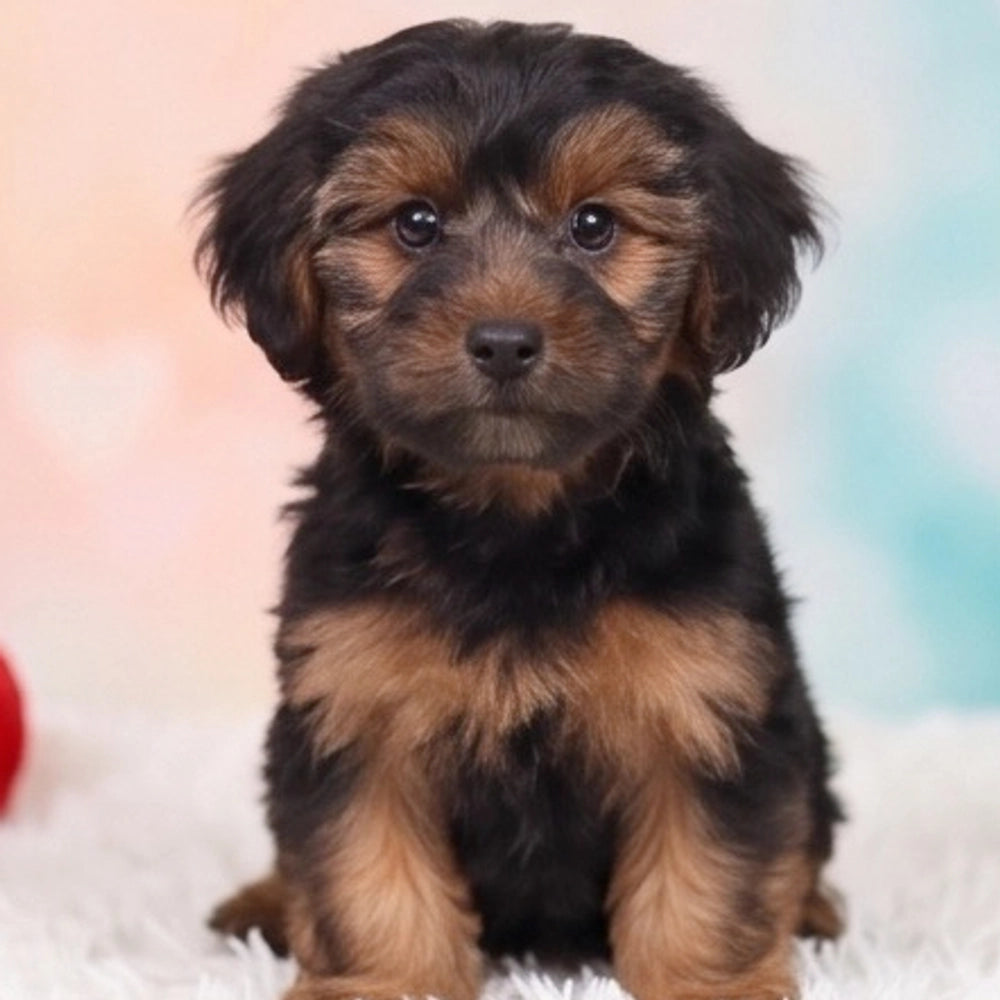 Benny