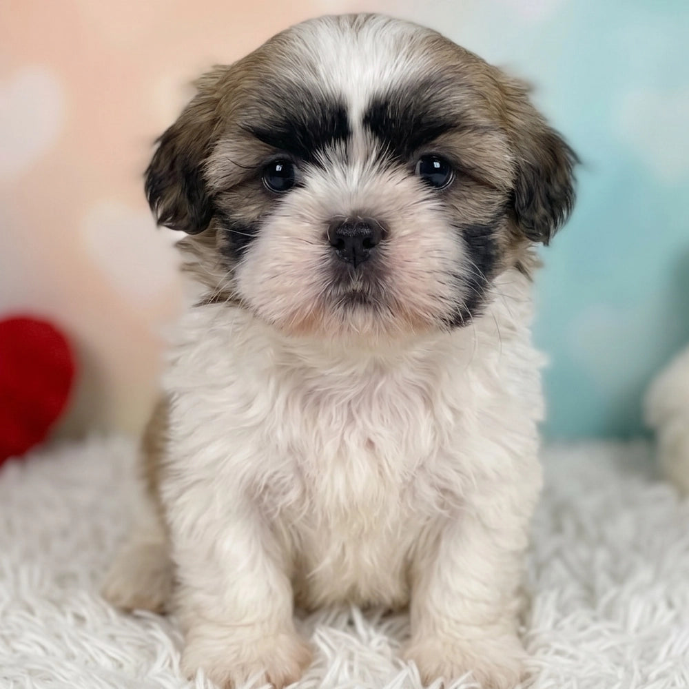 Murphy
