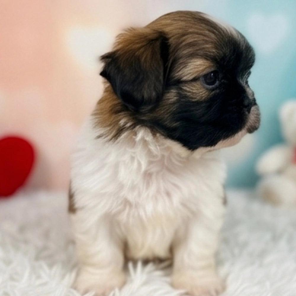 Millie