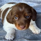 Sadie