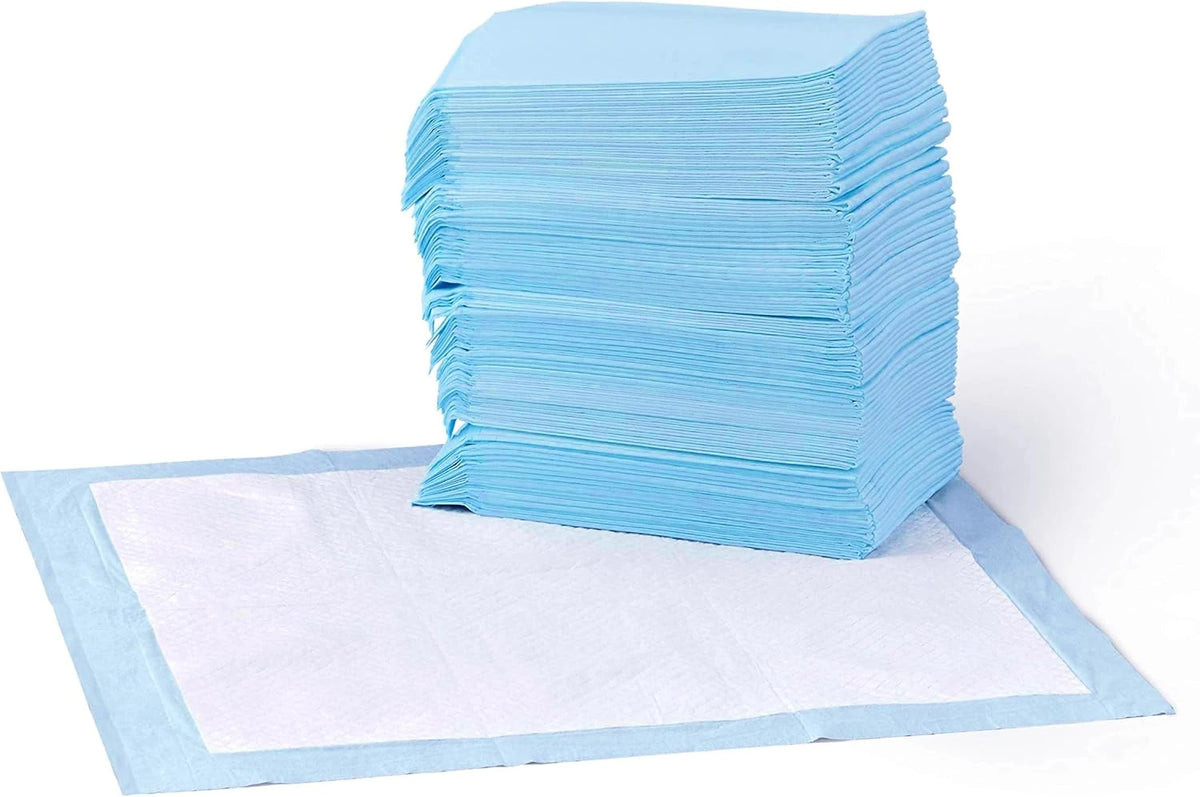 Potty Training & Cleanup