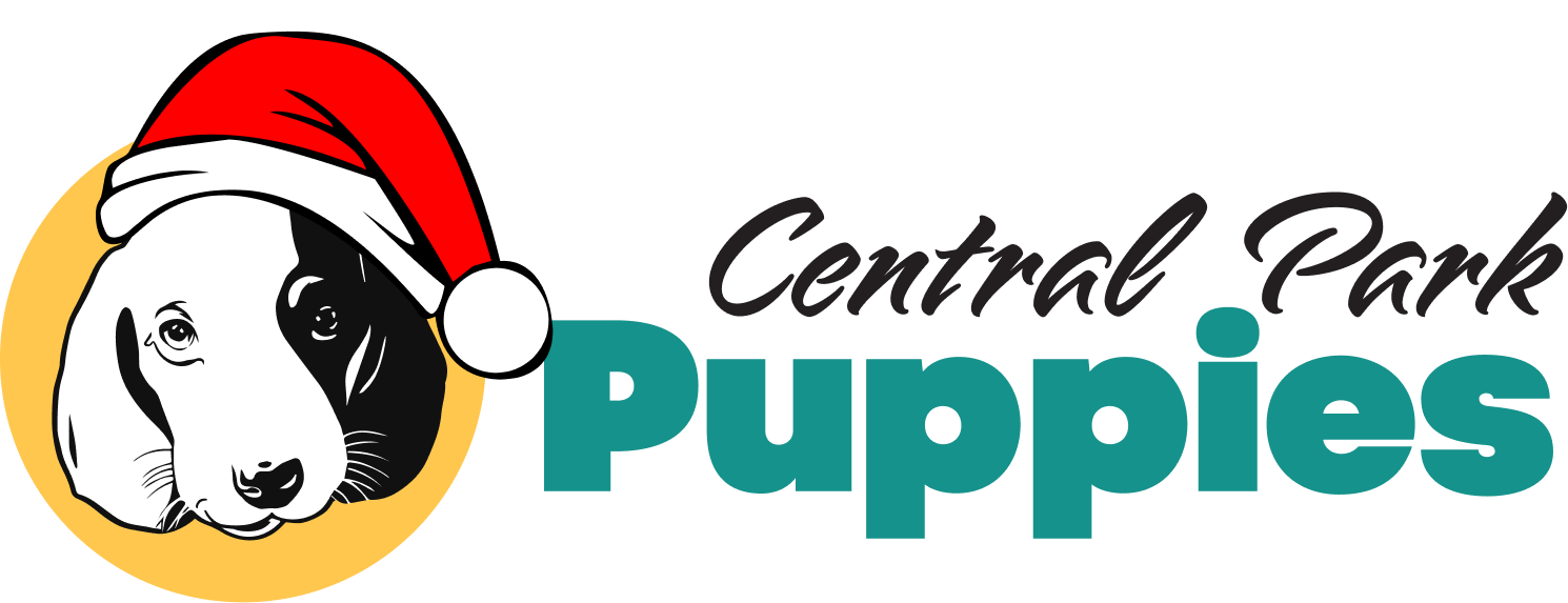 Central Park Puppies