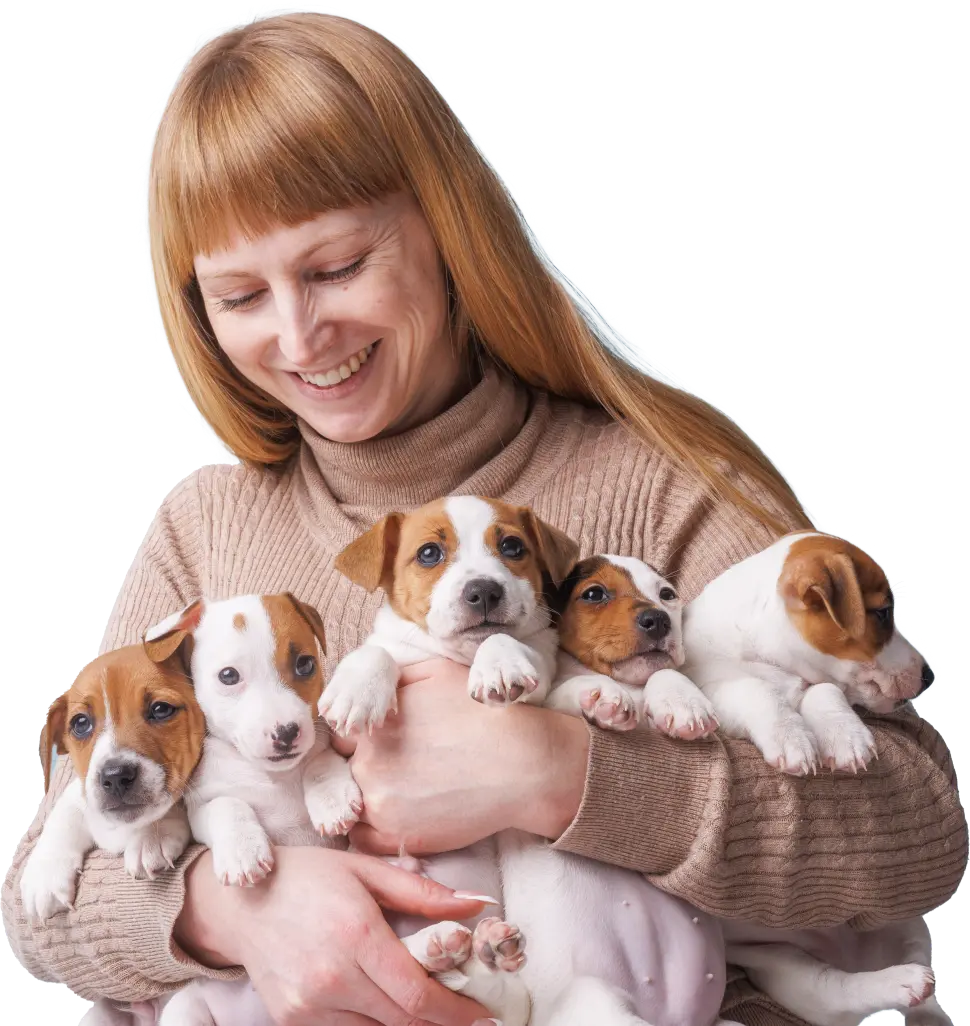 central park puppies breeder onboarding