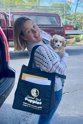 central park puppies delivery with care