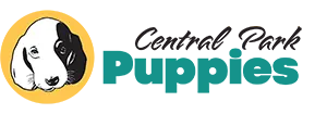 central park puppies logo