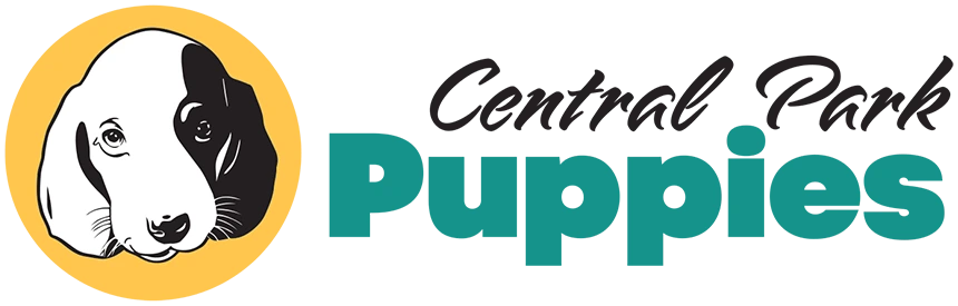 Central Park Puppies