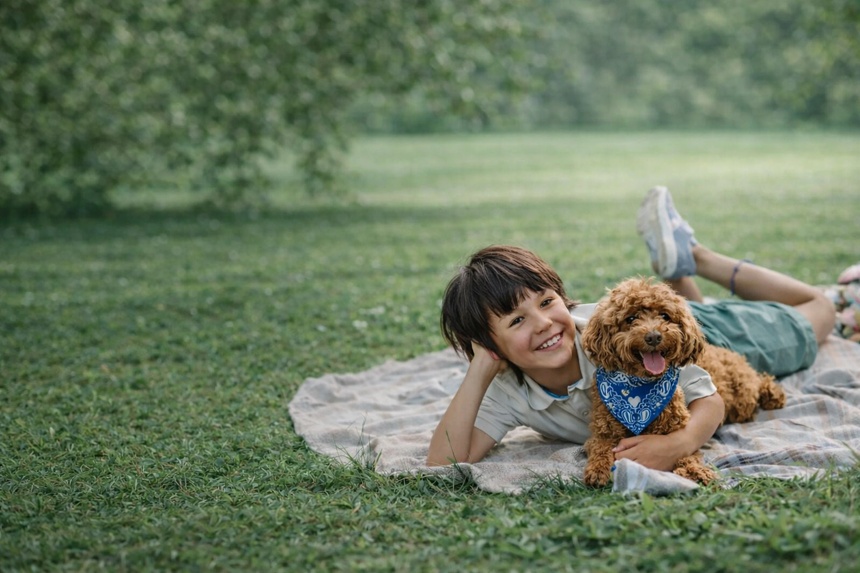 Central Park Puppies Hero Banner