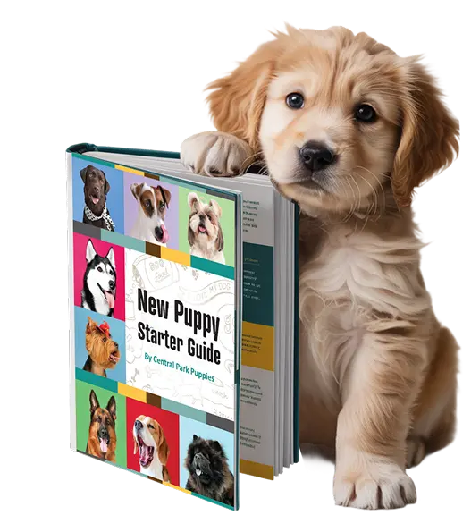 New Puppy Handbook