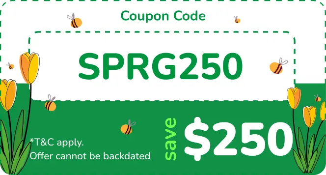 Coupon Code
