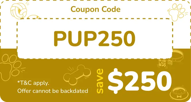 Coupon Code